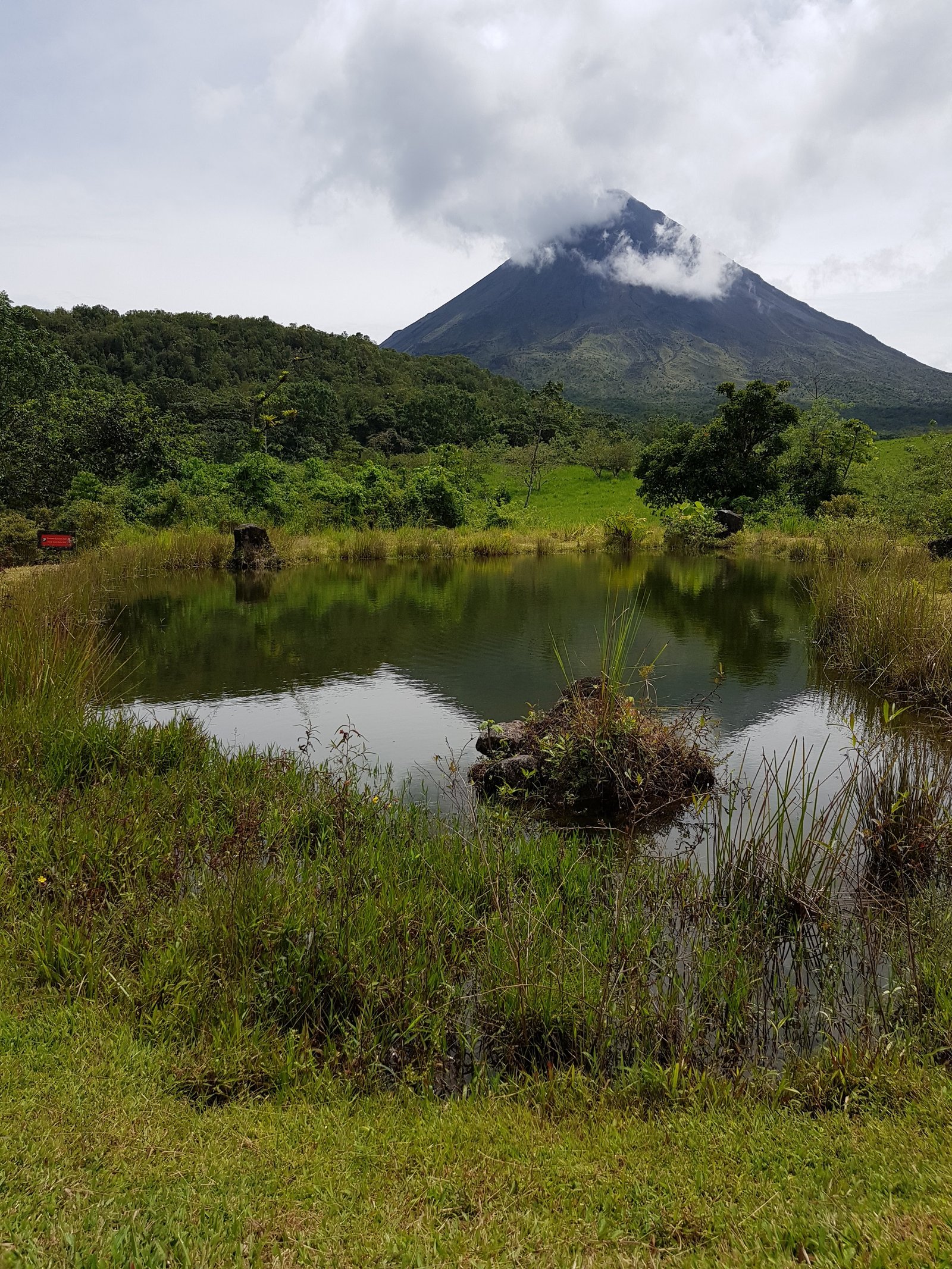 San Carlos Image
