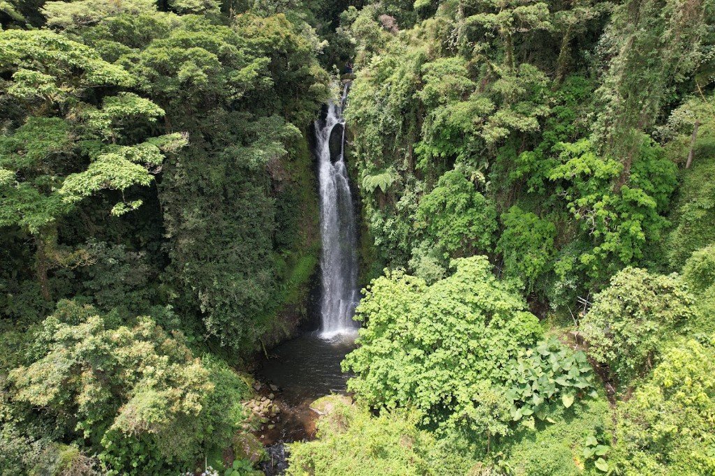 Catarata en la selva de Costa Rica