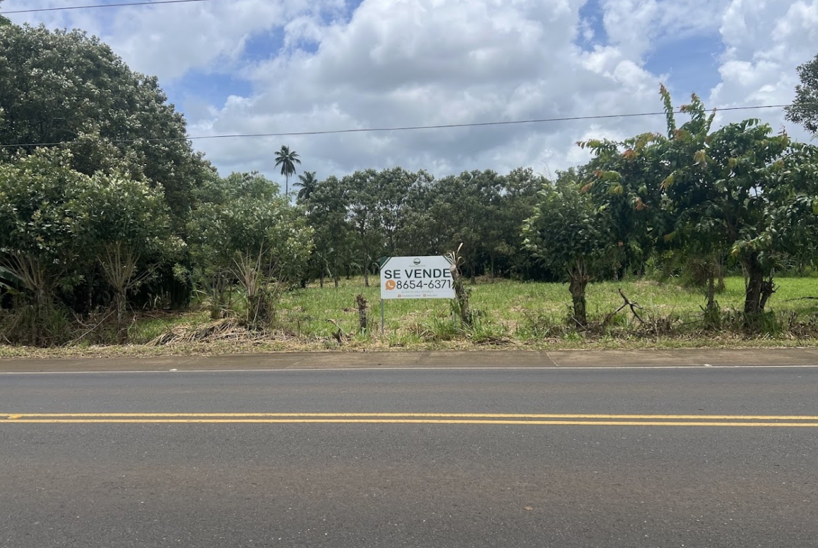 terreno en boca arenal