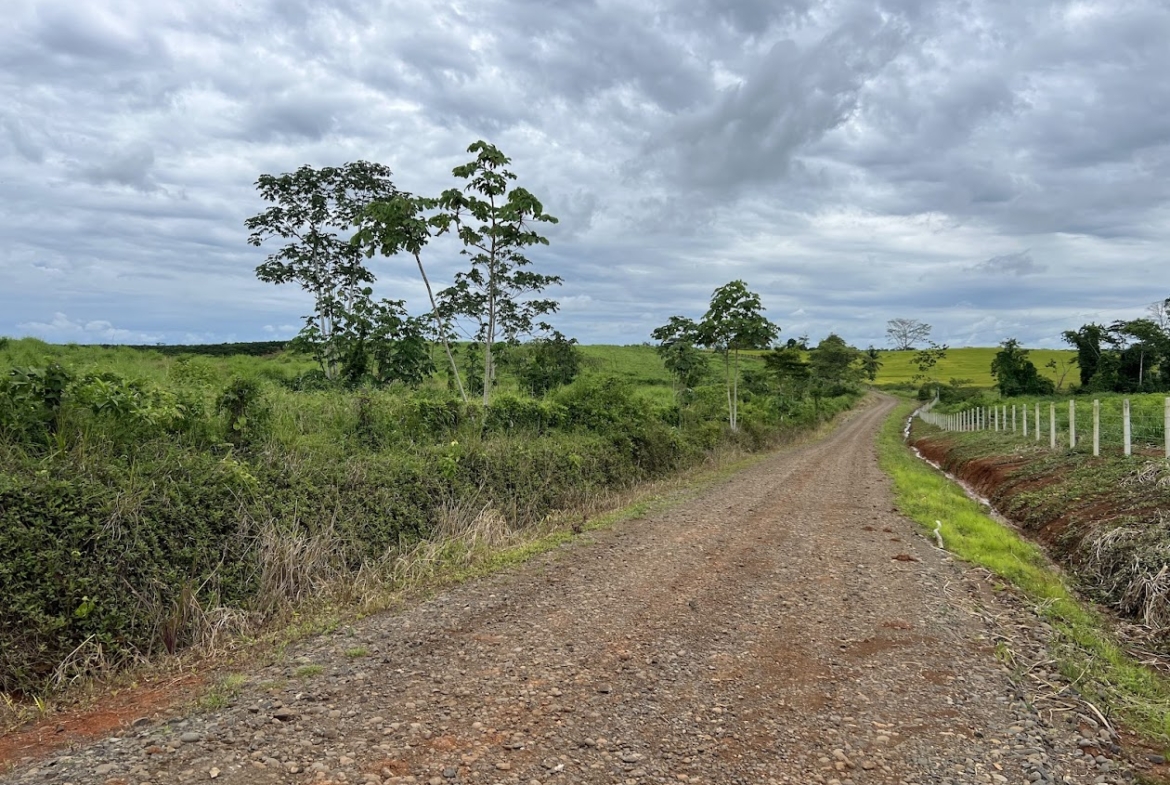 Fincas en San Carlos