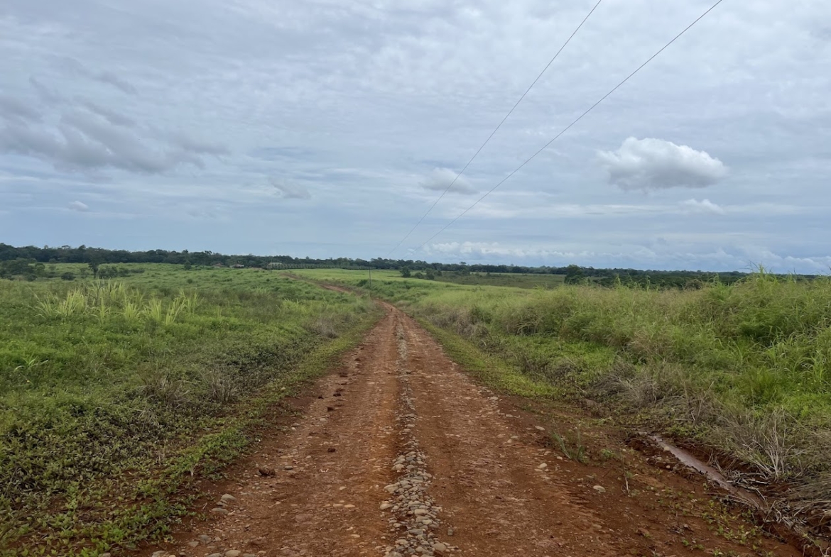 Fincas en San Carlos