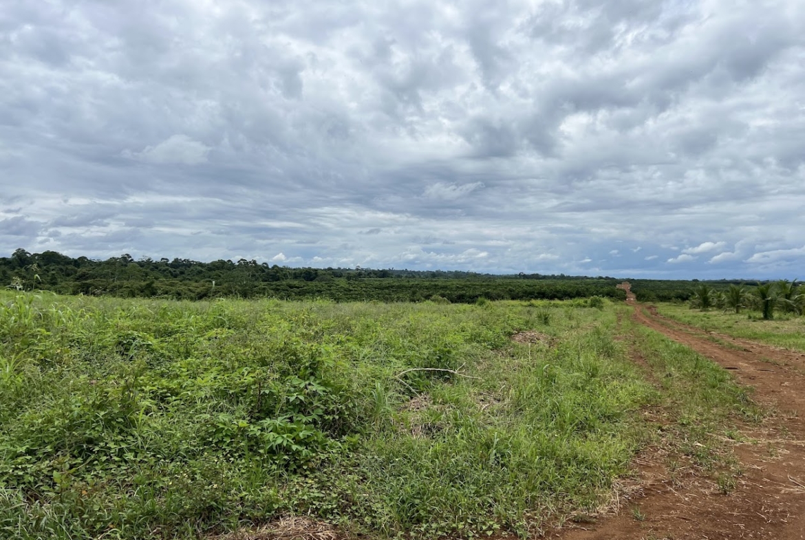 Fincas en San Carlos