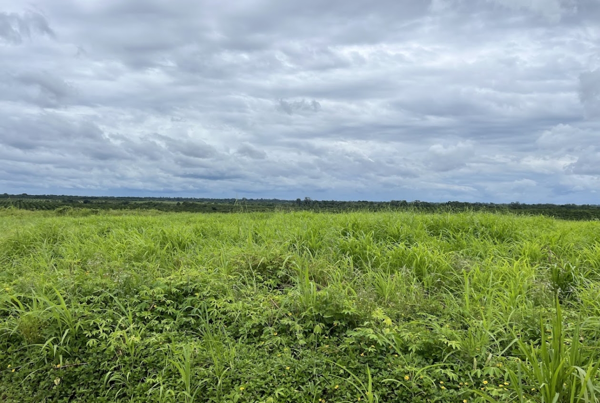Fincas en San Carlos