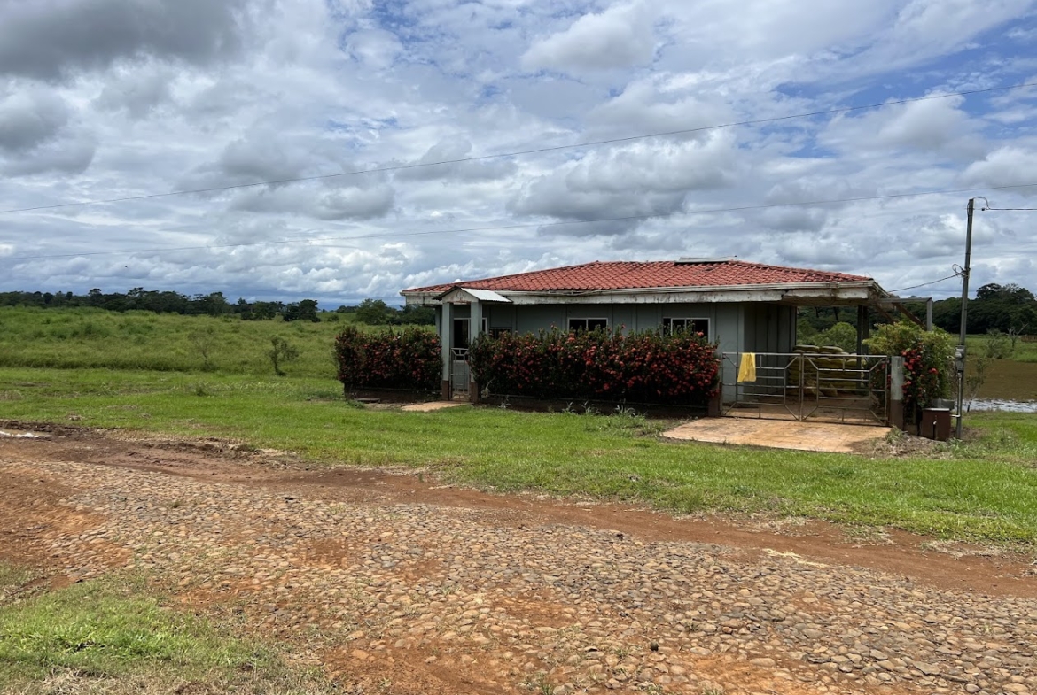 Fincas en San Carlos