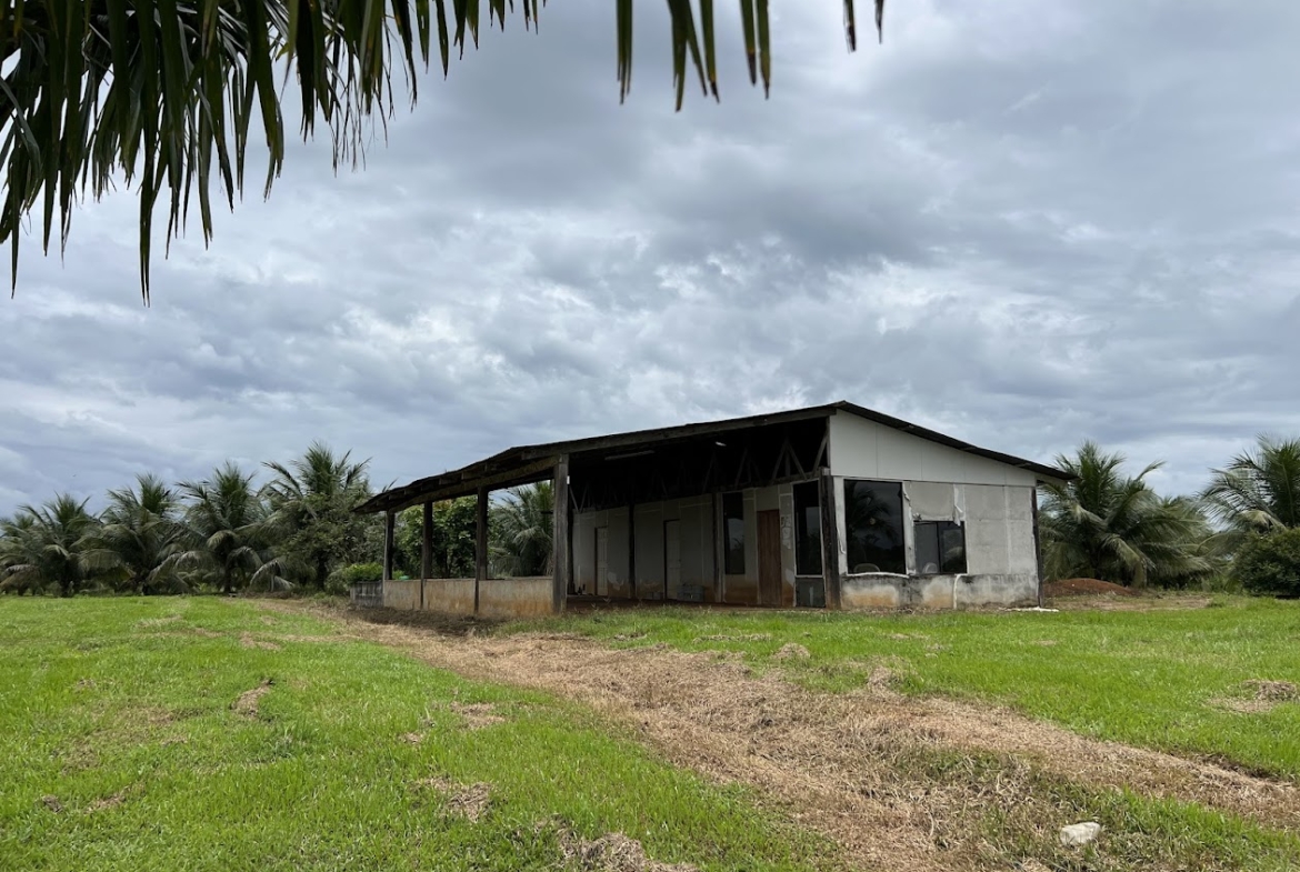 Fincas en San Carlos