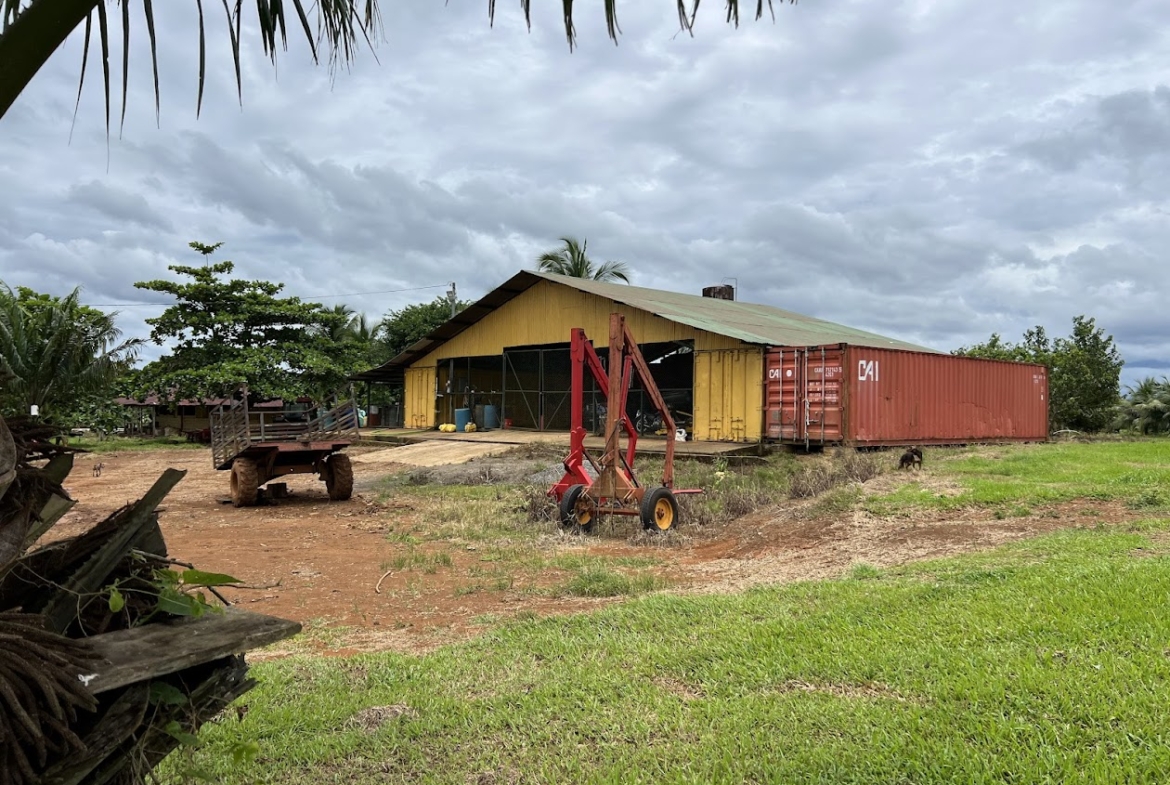 Fincas en San Carlos