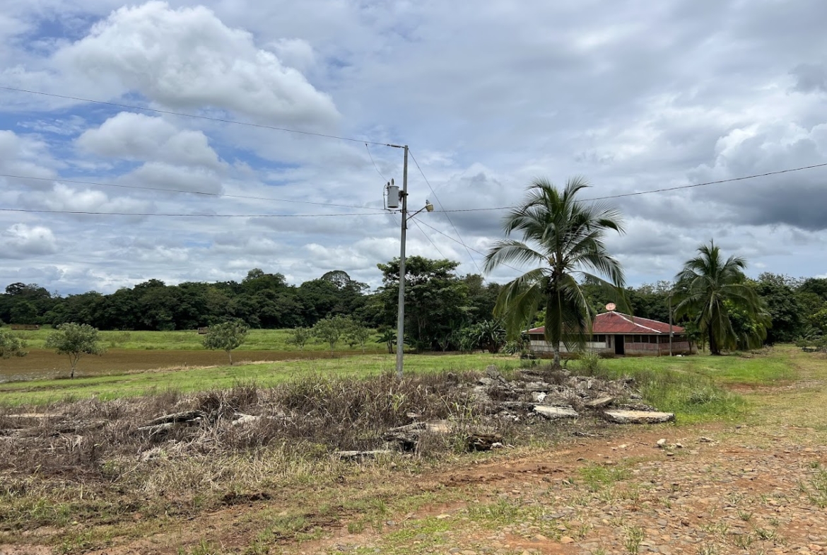 Fincas en San Carlos