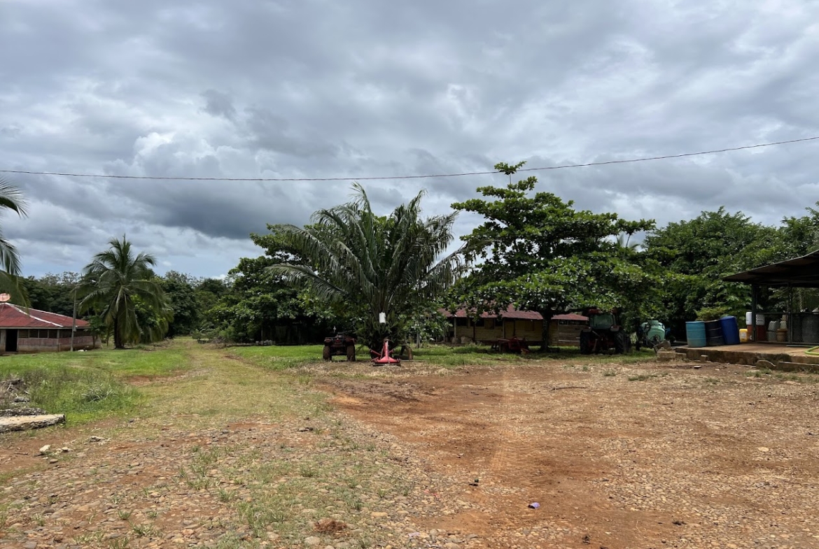 Fincas en San Carlos