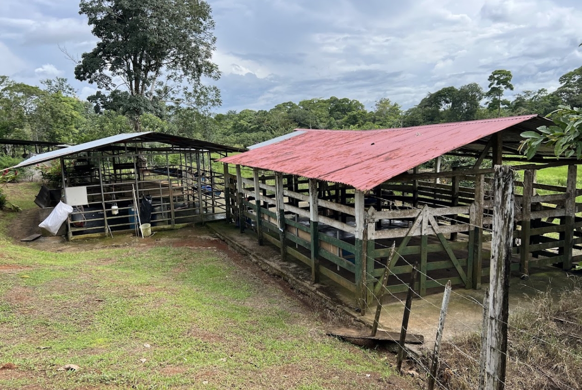 Finca Lechera en Costa Rica