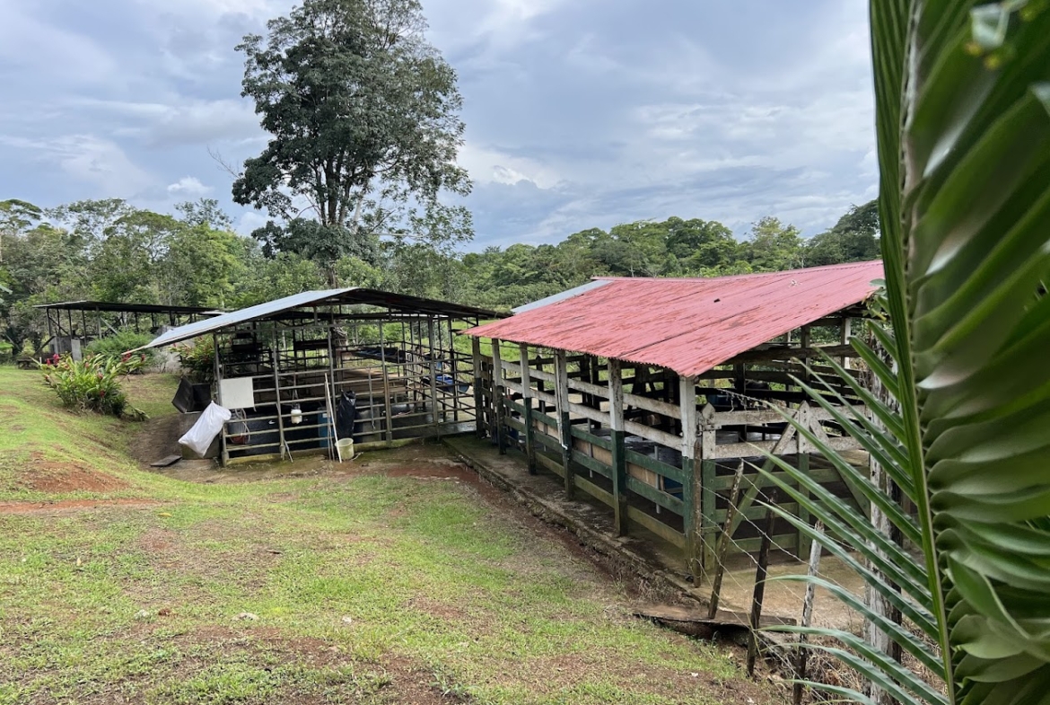 Finca Lechera en Costa Rica