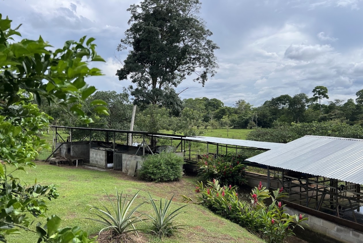 Finca Lechera en Costa Rica