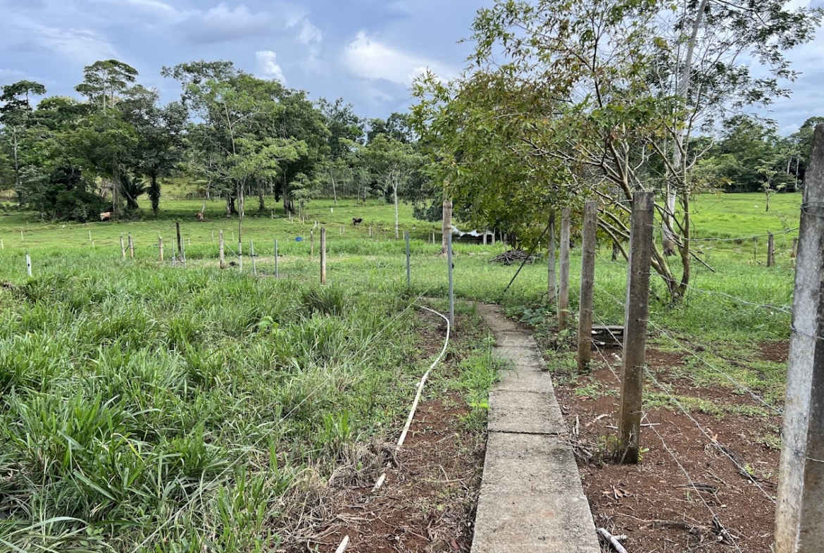 Finca Lechera en Costa Rica