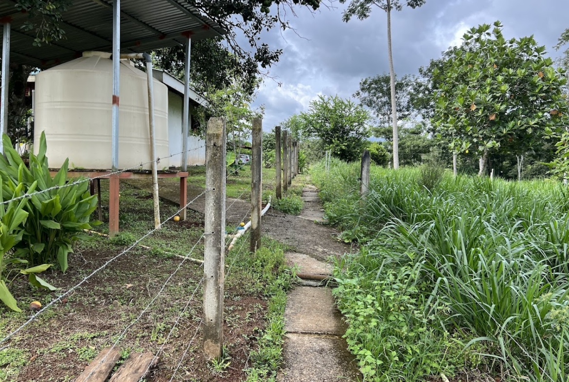 Finca Lechera en Costa Rica