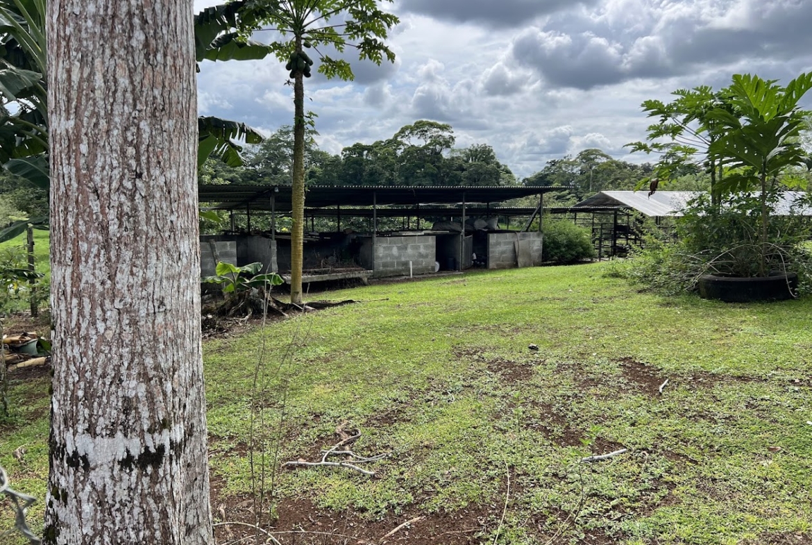 Finca Lechera en Costa Rica