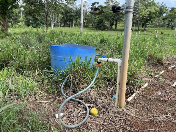 Finca Lechera en Costa Rica