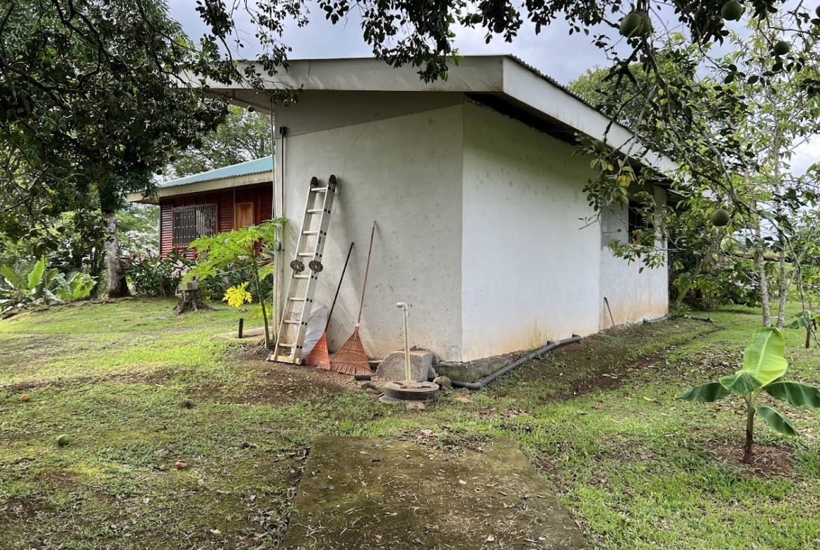 Finca Lechera en Costa Rica