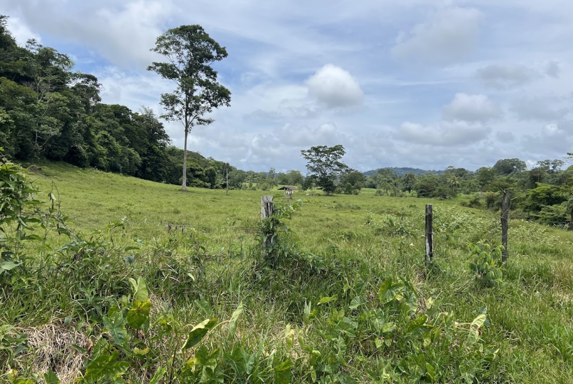 Fincas de Costa Rica