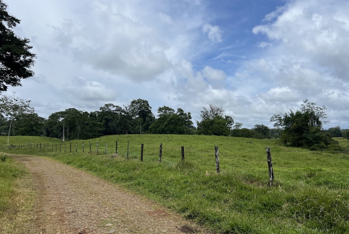 Fincas de Costa Rica