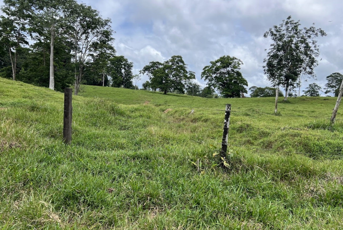 Fincas de Costa Rica