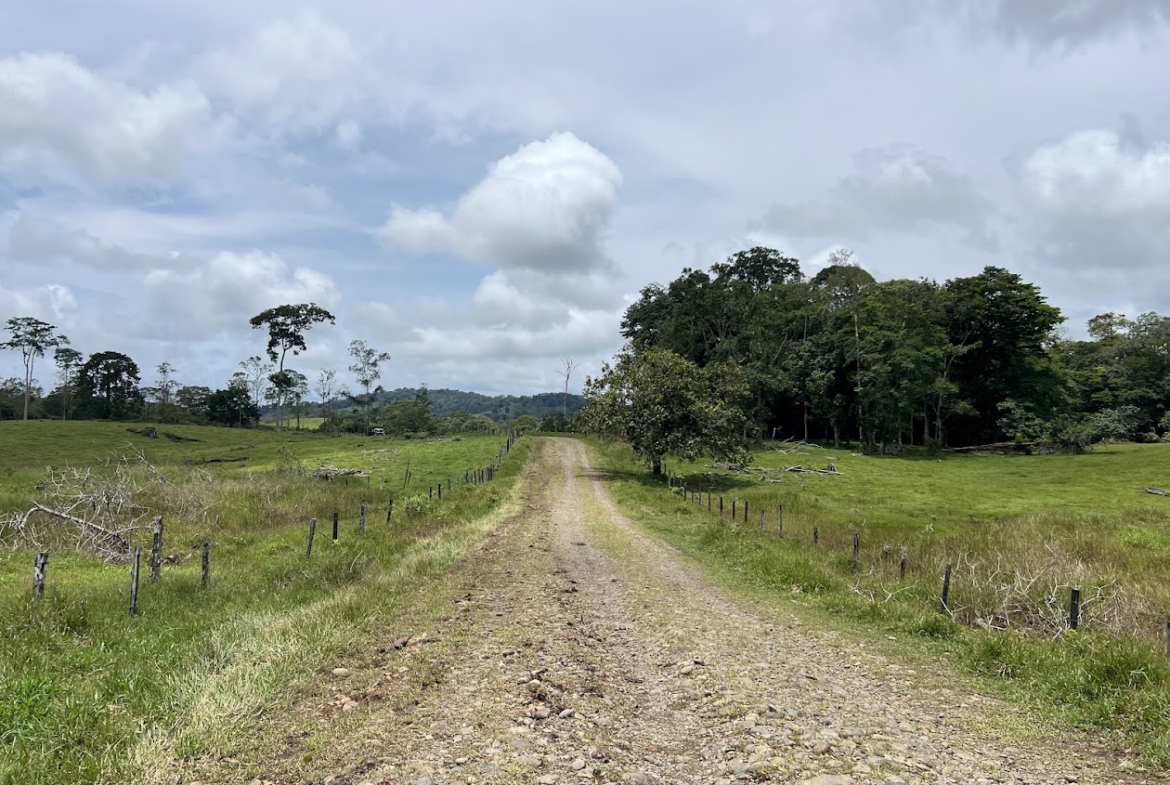 Fincas de Costa Rica
