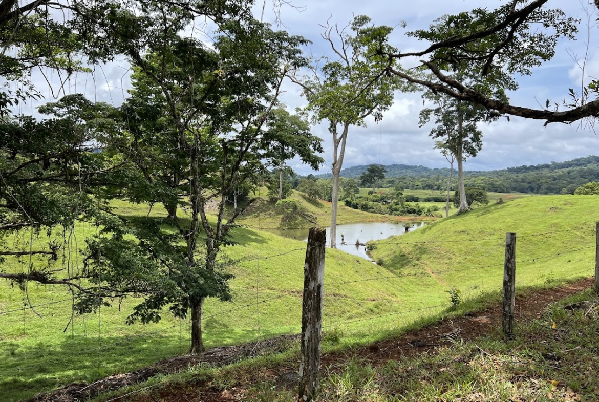 Fincas de Costa Rica