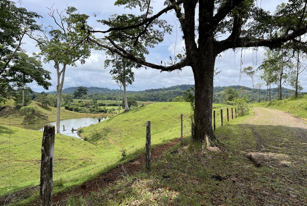 Fincas de Costa Rica