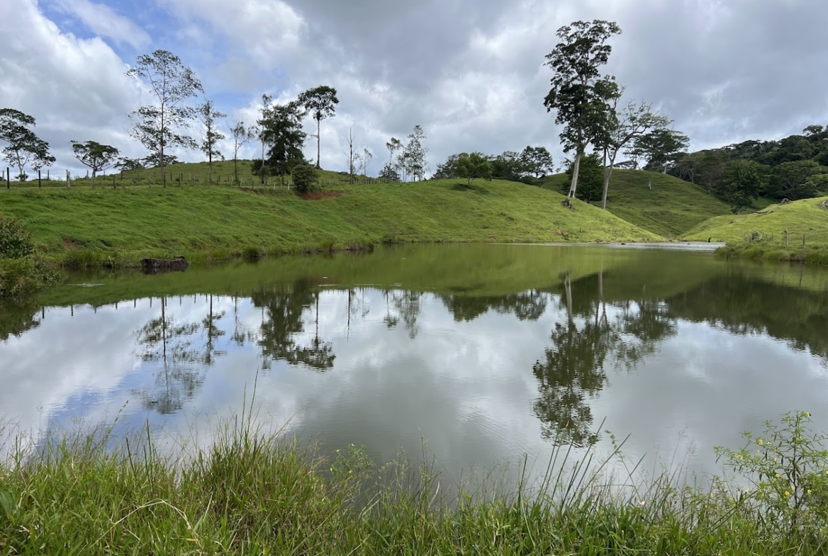 Fincas de Costa Rica
