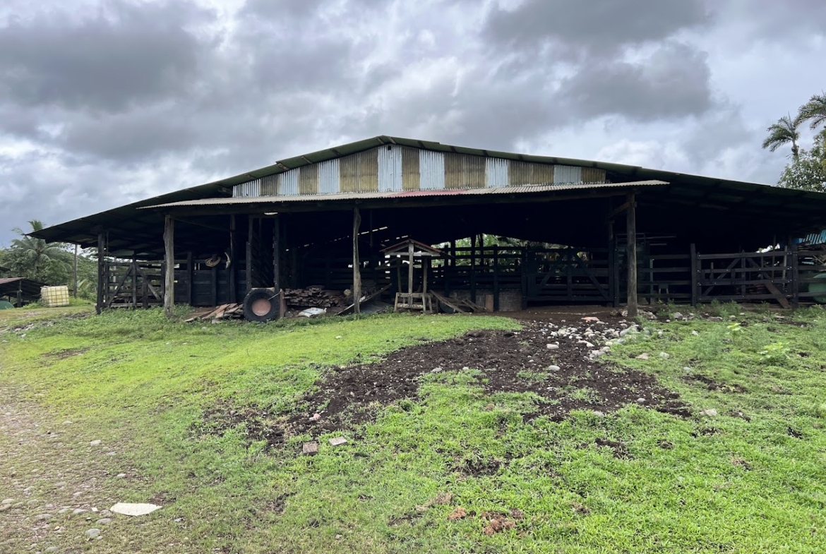 Fincas de Costa Rica
