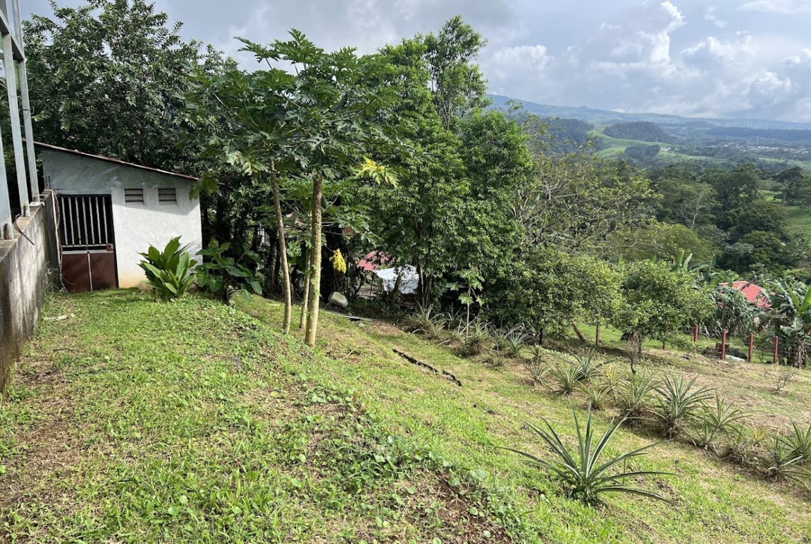 casa en la Tesalia de San Carlos