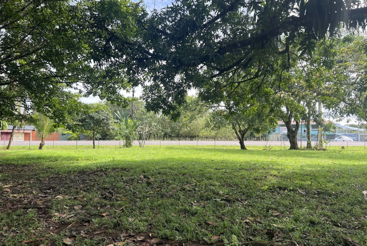 Propiedad comercial en Muelle