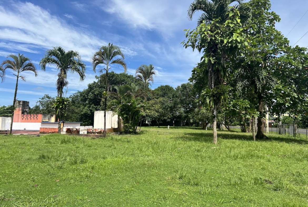 Propiedad comercial en Muelle