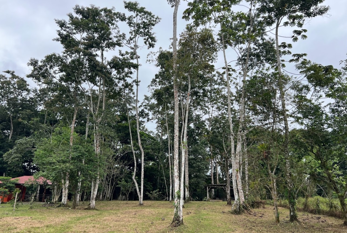 Lote para quinta en río cuarto