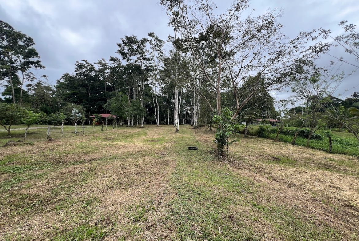 Lote para quinta en río cuarto