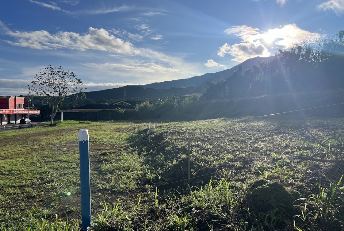 Lote Comercial en San Carlos