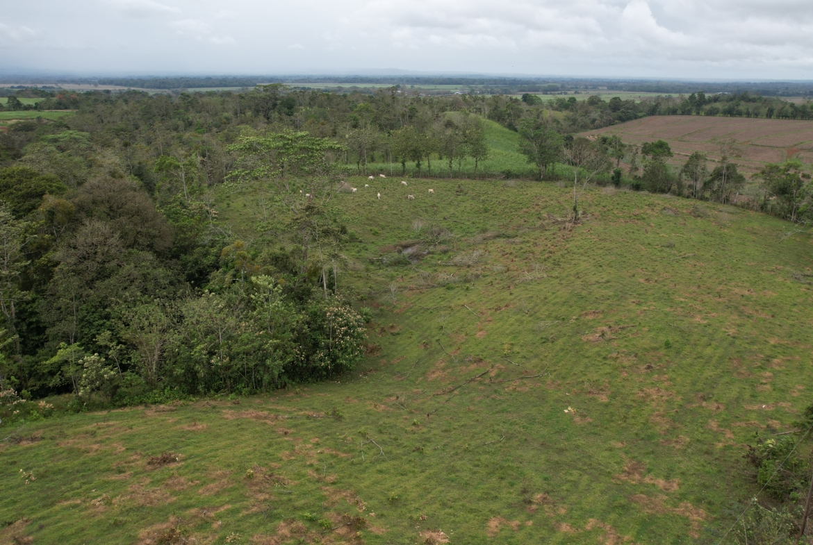 Terreno en San Carlos