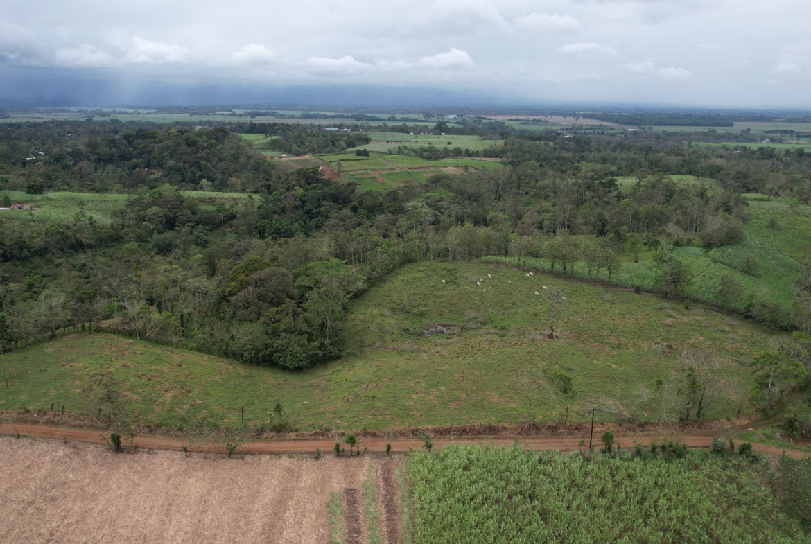 Terreno en San Carlos