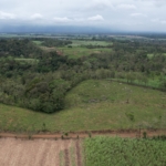 Terreno en San Carlos