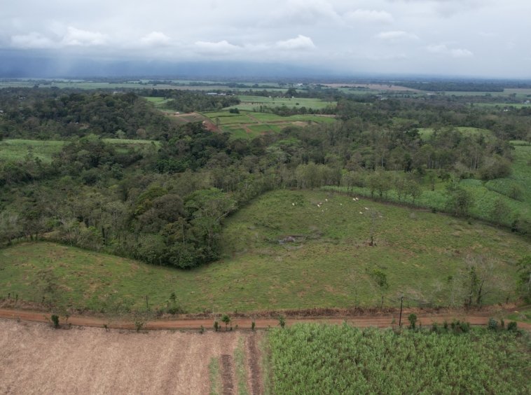 Terreno en San Carlos