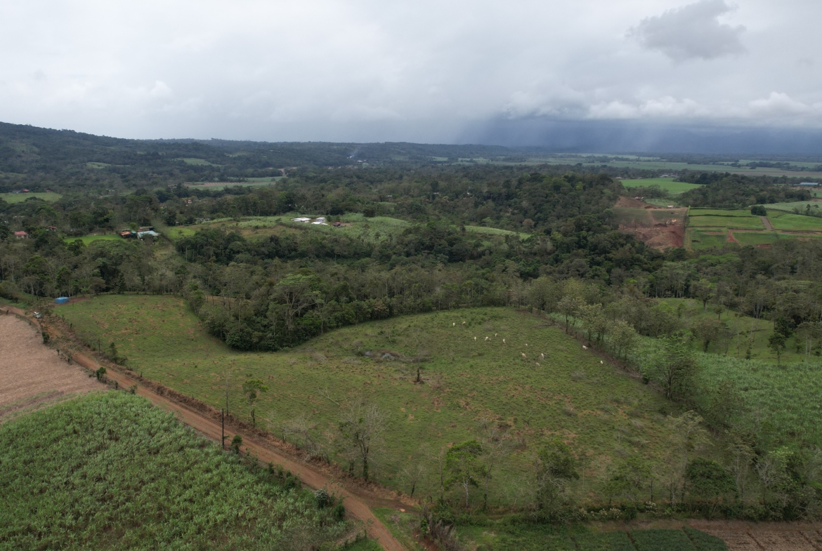 Terreno en San Carlos