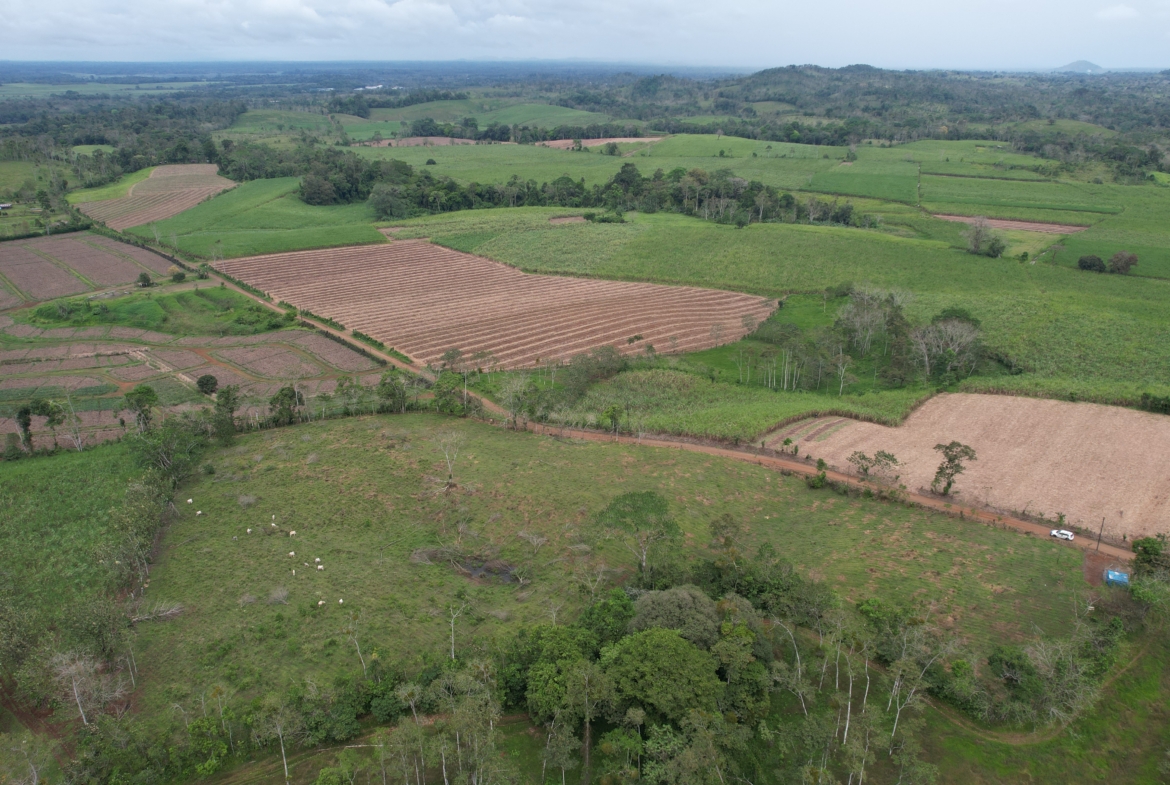 Terreno en San Carlos