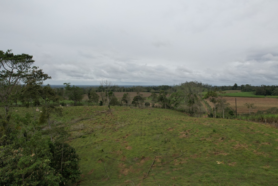 Terreno en San Carlos