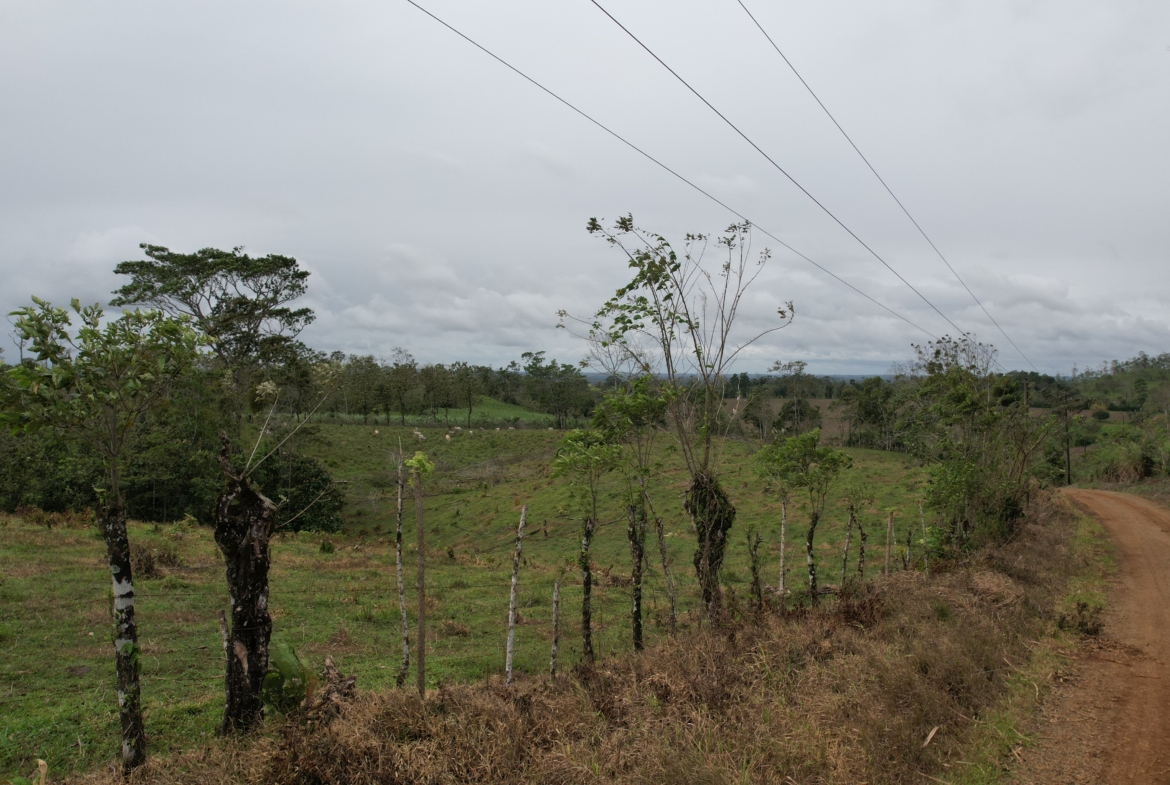 Terreno en San Carlos