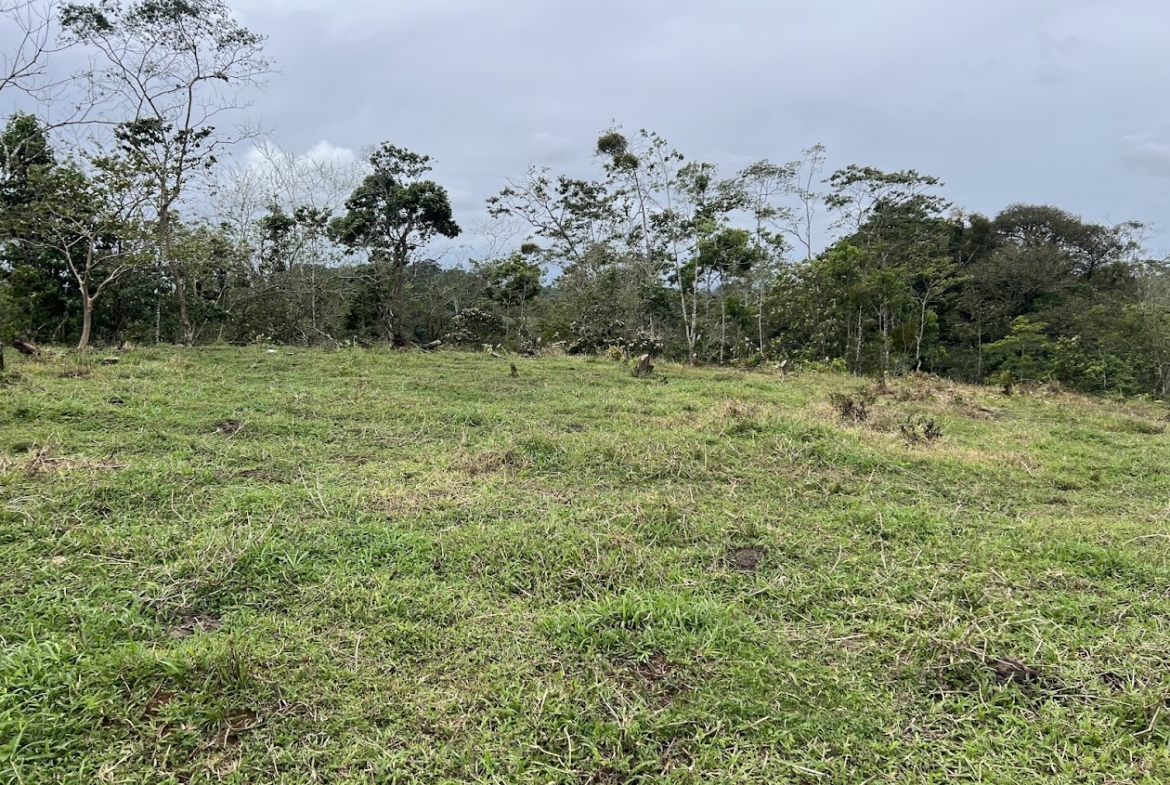Terreno en San Carlos