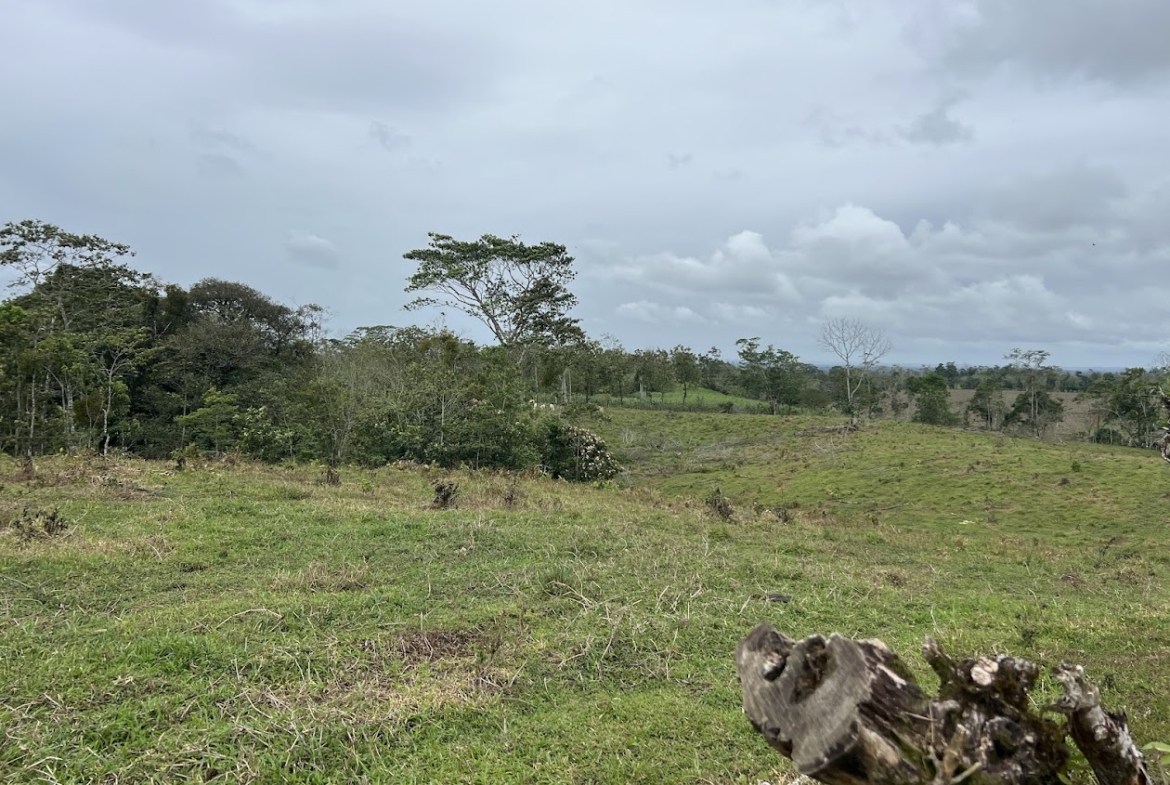 Terreno en San Carlos