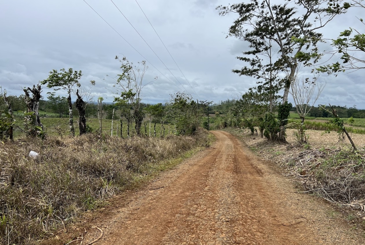 Terreno en San Carlos