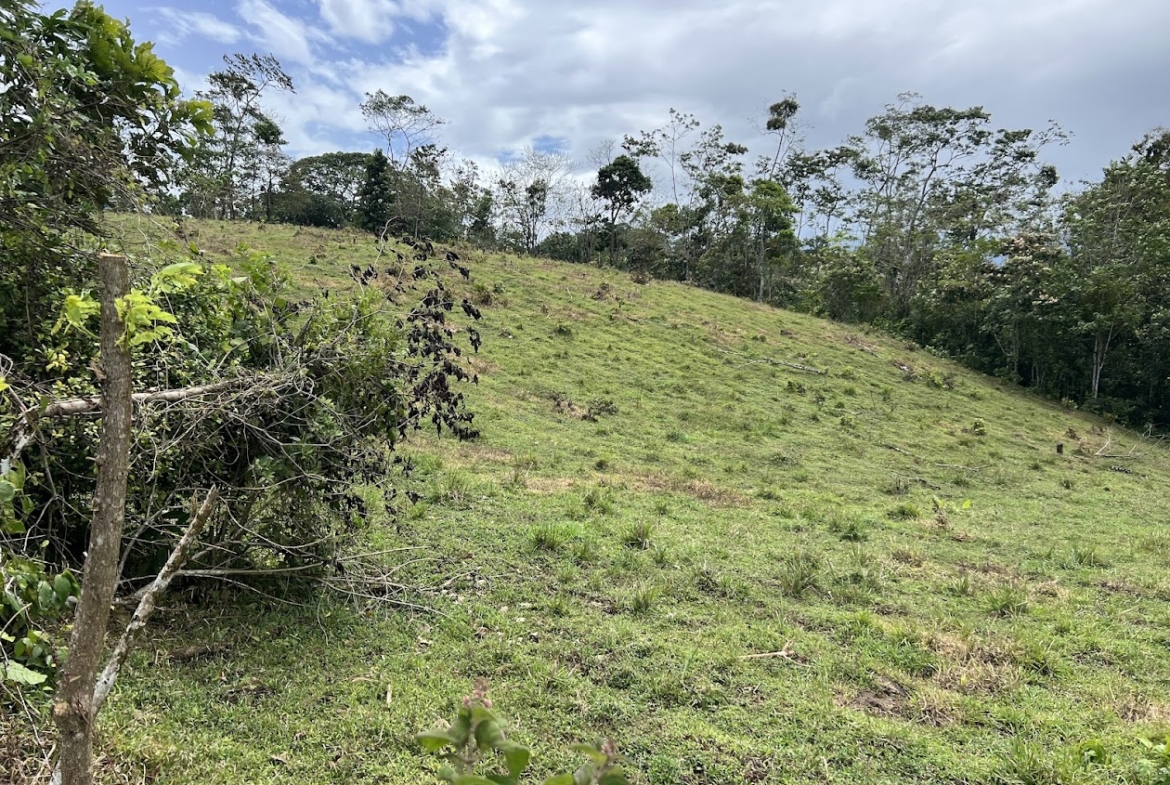 Terreno en San Carlos