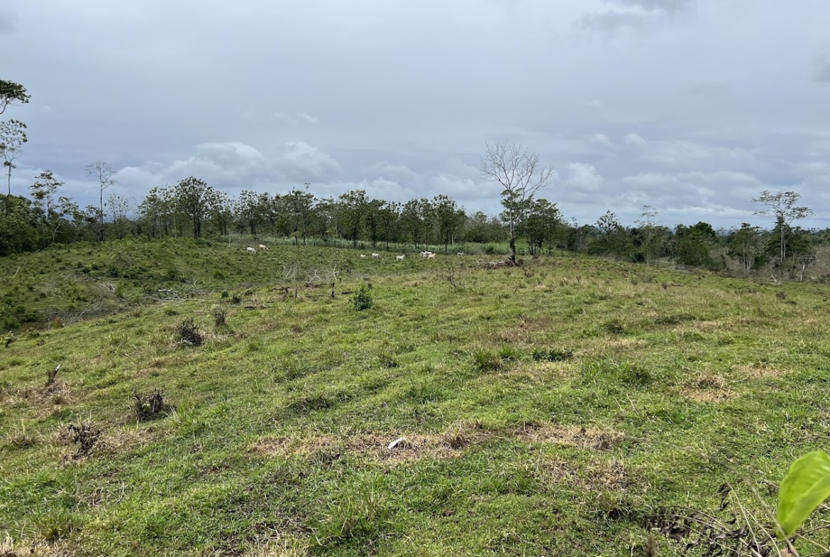 Terreno en San Carlos