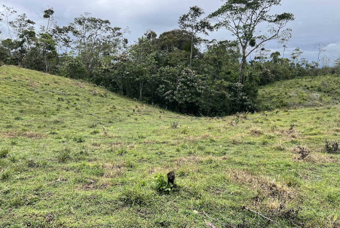Terreno en San Carlos