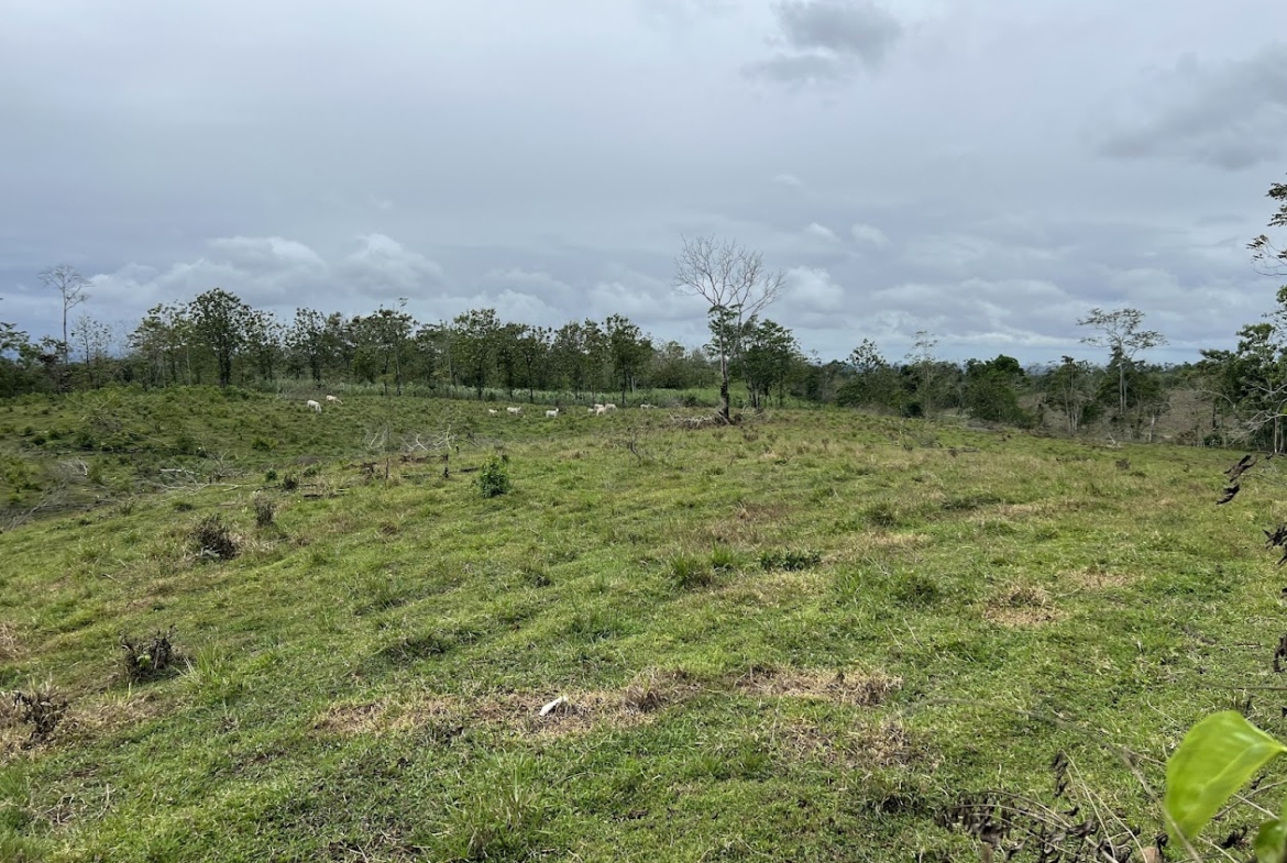 Terreno en San Carlos