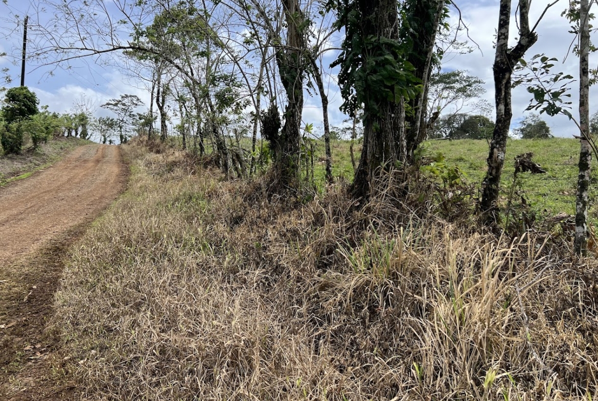 Terreno en San Carlos